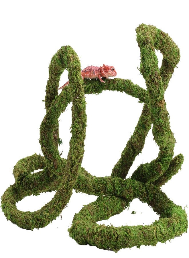 USMOLA Moss Vine for Reptiles, Bendable Climbing Vines Reptile Tank Accessories, Natural Moss Rope for Leopard Gecko, Lizard, Snake, Chameleon, Frog Terrarium Decor (Jungle Green, 9.8 FT) - Image 5